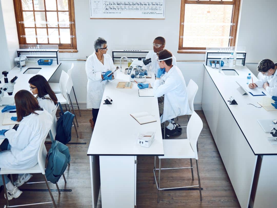 Equipo de Sigma Mente en un entorno de aprendizaje colaborativo